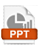 PPTicon
